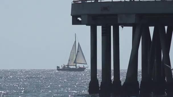 Sailboat Passing Pier Ocean Beautiful Day — Stock Video