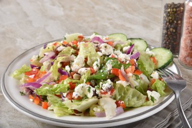 Beyaz peynir, kırmızı dolmalık biber, salatalık, kalamata zeytin ve bir kırmızı şarap sos ile geleneksel bir Greeksalad.