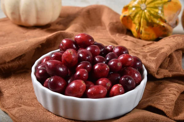 Bowl Fresh Ripe Organic Cranberries — Stock Photo, Image