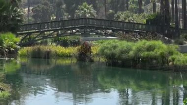 Bir su birikintisi bir kentsel Park üzerinde köprü
