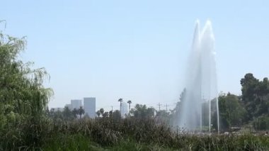 Güzel çeşme ve nilüferler Los Angeles genel bir park