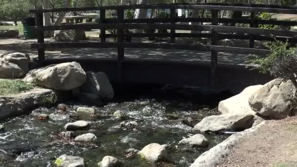 Bir Doğa Parkı Bir Dere Üzerinde Köprü — Stok video