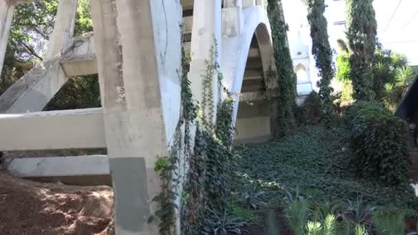 Efeu Bedeckte Betonbogenbrücke Nahaufnahme — Stockvideo