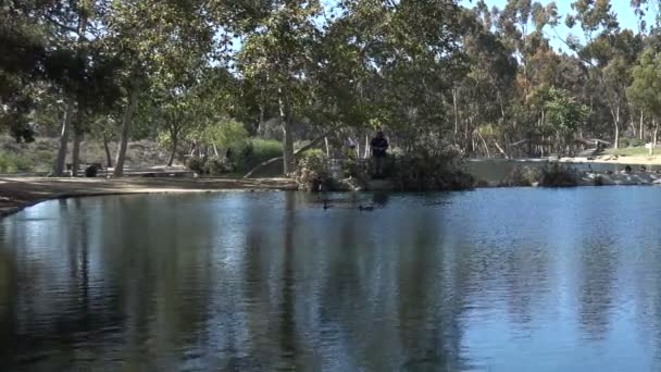 Pan Attraverso Bellissimo Lago Parco — Video Stock