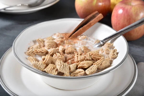 Closeup Bowl Oat Breakfast Cereal Honey Cinnamon — Stock Photo, Image