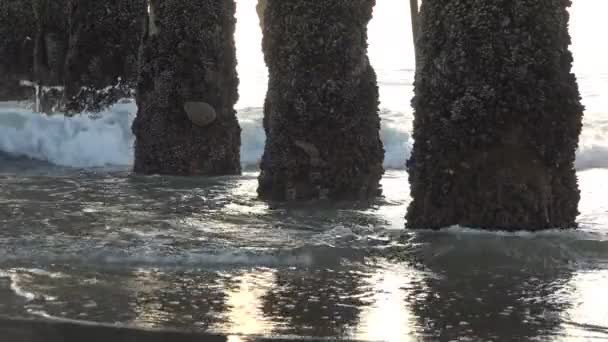 Κύματα Συντριβή Στην Ακτή Κάτω Από Μια Προβλήτα Που Επισημαίνονται — Αρχείο Βίντεο