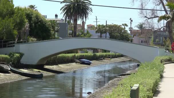 Beautiful Venice Canals Southern California — Stock Video