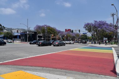 Gay Pride Rainbow boyalı Yaya Crosswalk
