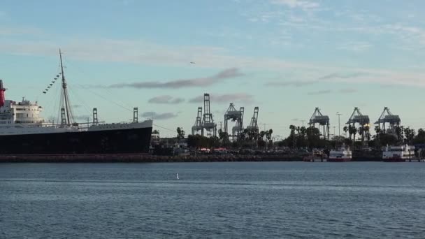 Queen Mary Long Beach Harbor Grantry Cranes Shipyard Yard — стоковое видео