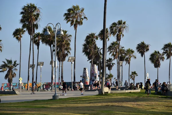 Venice Plajı'nda Davul Çemberi — Stok fotoğraf