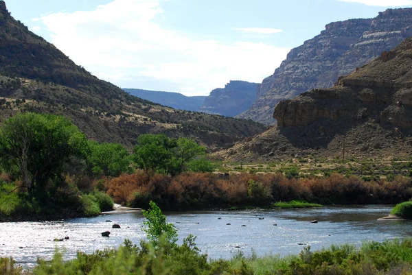 The Colorado River — Stock Photo, Image