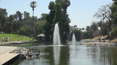 Los Angeles Hollenbeck Park'ta gölde güzel çeşmeler