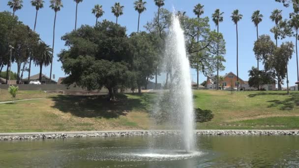 Fontein Het Meer Bij Een Stedelijk Park Slow Motion — Stockvideo