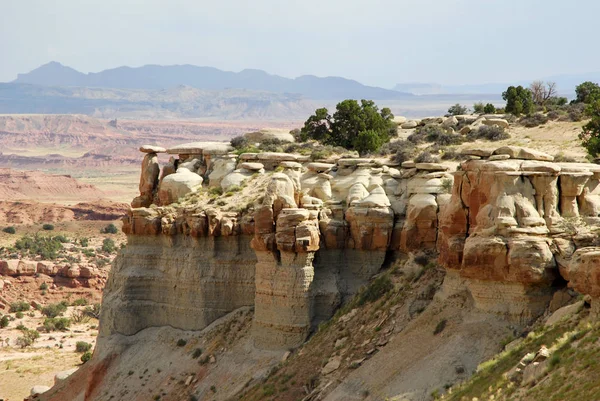 Paisaje desierto suroeste — Foto de Stock