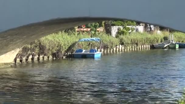Bateaux Rames Dans Eau Des Canaux Venise Californie Sud — Video