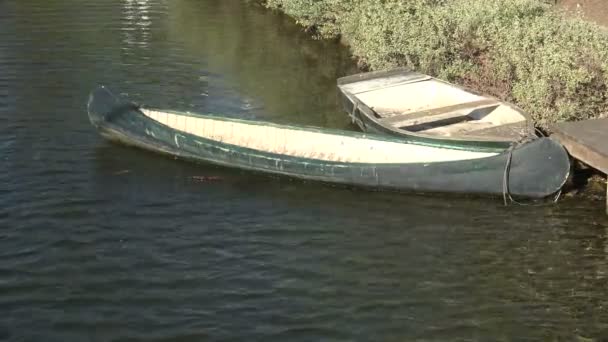 カリフォルニアのヴェネツィア運河の水中カヌー — ストック動画