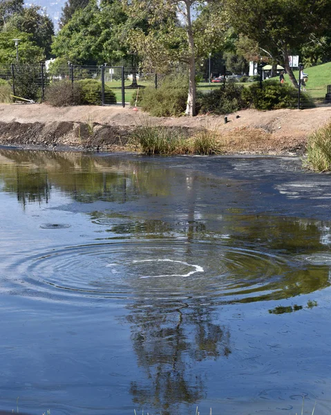 La Brea Tar Pits'te methan gazı köpürüyor — Stok fotoğraf