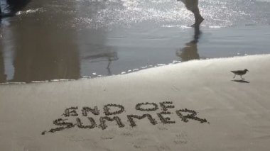 Su kenarında yürüyen bir kadın ayakları ile Yaz sonu kavramı