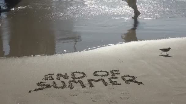 水辺を歩く女性の足を持つ夏の終わりのコンセプト — ストック動画