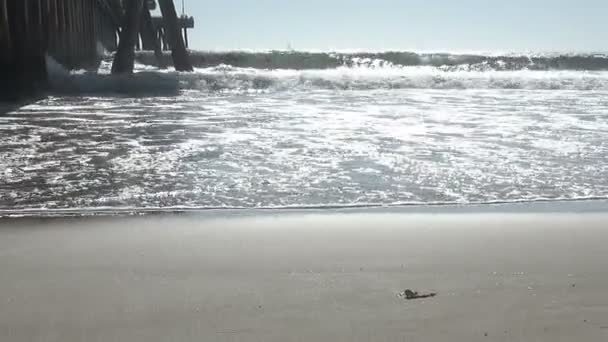 Εννοιολογικά Ταξίδια Βίντεο Έναρξη Του Καλοκαιριού Στην Παραλία Ένα Τροπικό — Αρχείο Βίντεο