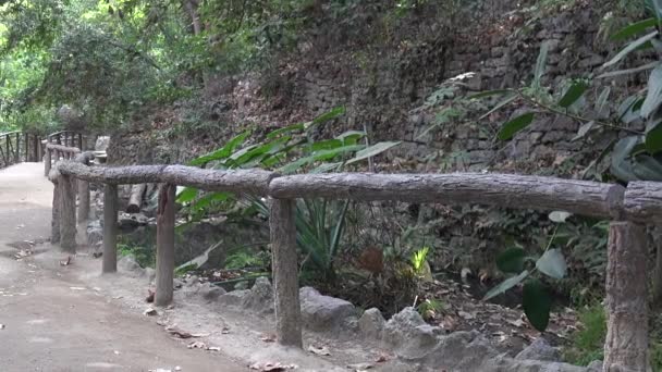 Caminho Embora Belo Parque Arborizado — Vídeo de Stock