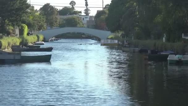 Botes Remos Canoas Bordean Los Canales Venecia Sur California — Vídeo de stock