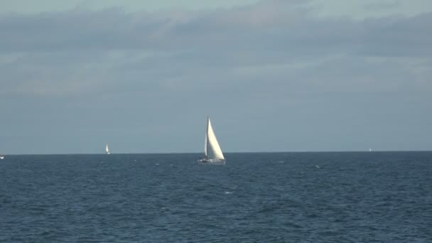 Voiliers blancs dans l'océan Pacifique par une belle journée d'été 