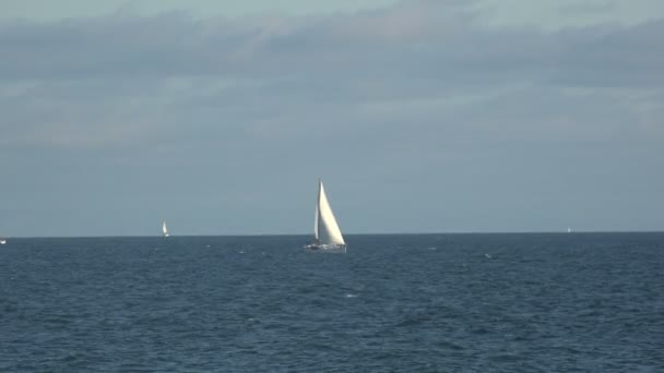 Witte Zeilboten Stille Oceaan Een Mooie Zomerdag — Stockvideo