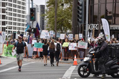 İklim değişikliği protestocular