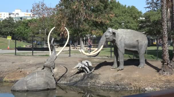 Die Labrea Teergruben Sind Eine Berühmte Touristenattraktion Los Angeles — Stockvideo