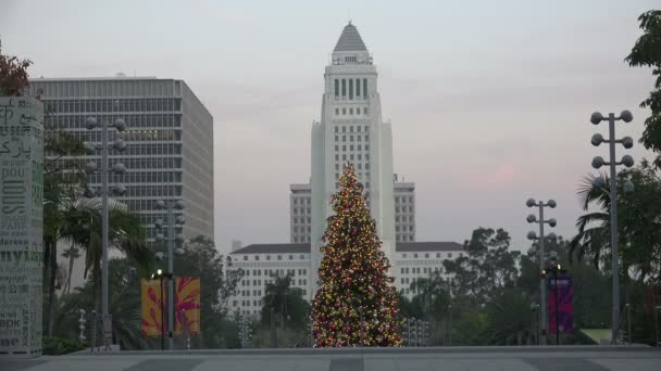 Los Angeles Décembre 2018 Arbre Noël Massif Grand Park Parfaitement — Video