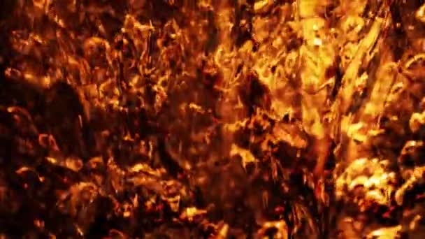 Abstract Molten Amber Background — Stock Video