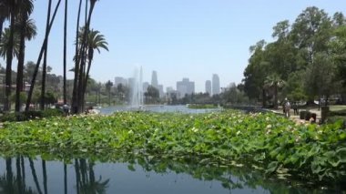 Los Angeles 'ın gölü yakınlaştır.