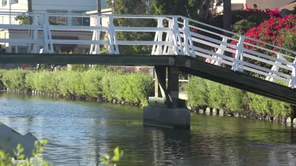 花园中一条小河上的乡村桥 — 图库视频影像