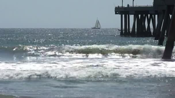 Barco Motor Veleiro Passam Pelo Pier Veneza Oceano Pacífico — Vídeo de Stock