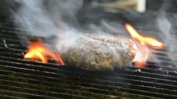 Silný Šťavnatý Hořící Hamburger Grilu — Stock video