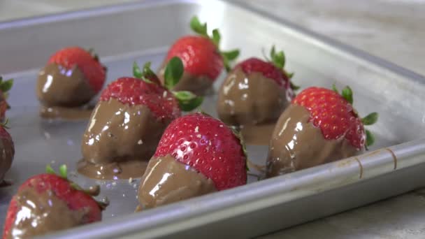 在覆满巧克力的草莓上洒碎坚果 — 图库视频影像