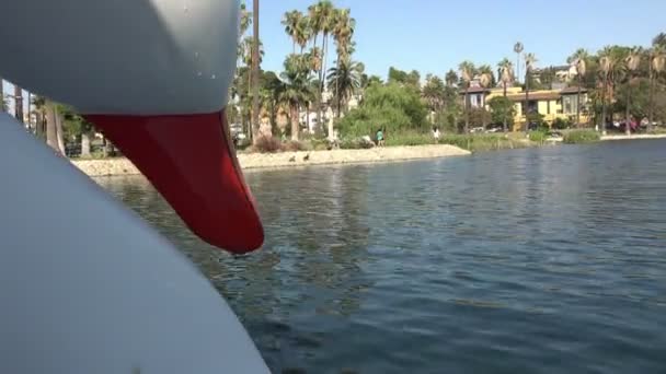 Point View Footage Riding Paddle Boat Lake — Stock Video