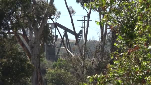 Oil Pump Jack Wooded Area State Park Los Angeles — Stock Video