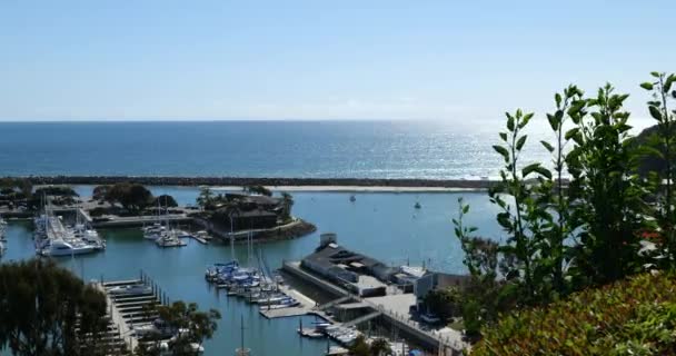 Utsikt Över Vackra Dana Point Harbor Stilla Havet — Stockvideo