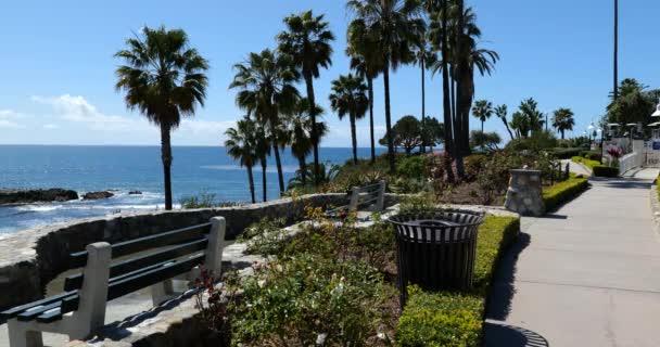 Banco Sendero Con Vistas Océano Laguna Beach California — Vídeos de Stock