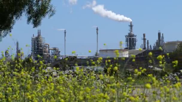 Büyük Bir Petrol Rafinerisinde Dumanlar Yükseliyor Kır Çiçeklerinin Ötesinde Ağır — Stok video