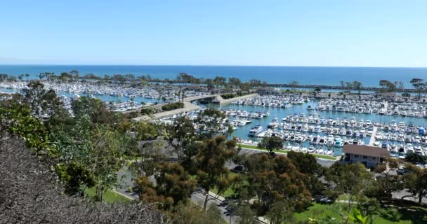 Aerial View Beautiful Harbor Dana Point Southern California — ストック動画