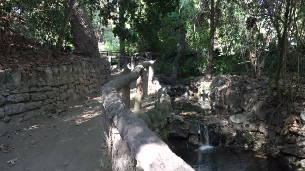 Hermoso Sendero Natural Parque Ciudad — Vídeo de stock