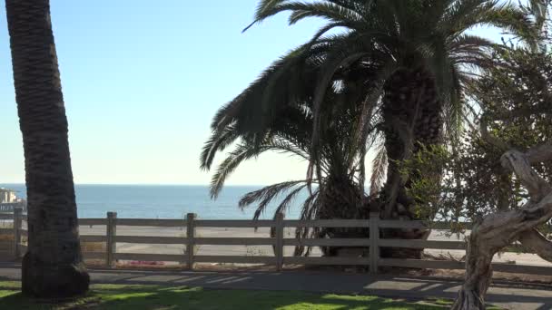 Vista Del Océano Pacífico Desde Parque Palisades Santa Mónica California — Vídeos de Stock