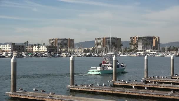 玛丽娜 Marina Del Rey 2020年2月29日 一艘船在美丽的一天通过了玛丽娜德尔雷伊的主要航道 — 图库视频影像