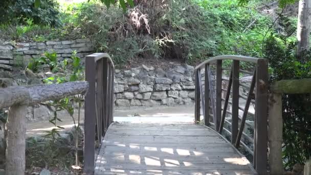 通往自然之路的乡村桥 — 图库视频影像