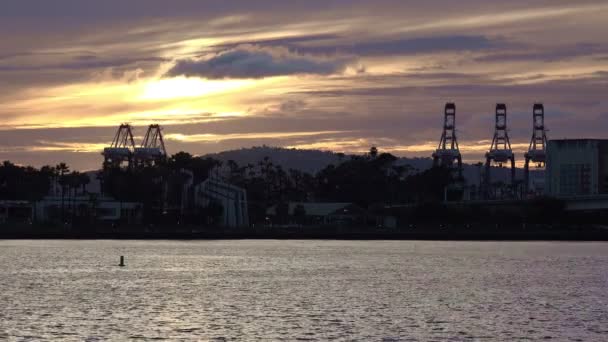 美丽的落日洒落在洛杉矶港口 上有轮廓分明的龙门起重机 — 图库视频影像