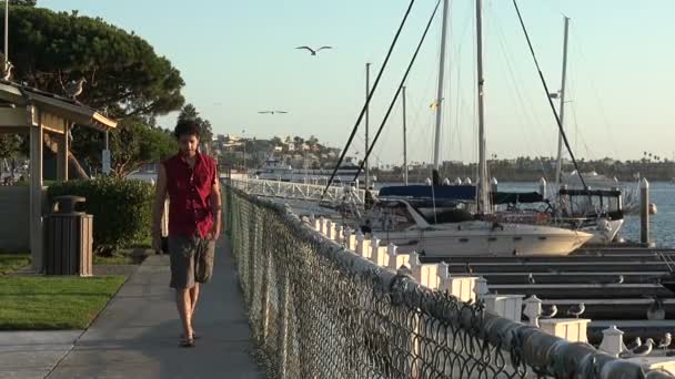 Tekne Marinasında Tatilde Olan Yakışıklı Genç Adam — Stok video