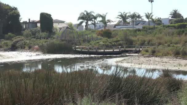 Huzurlu Malibu Gölünde Suyun Üzerindeki Yaya Köprüsü — Stok video